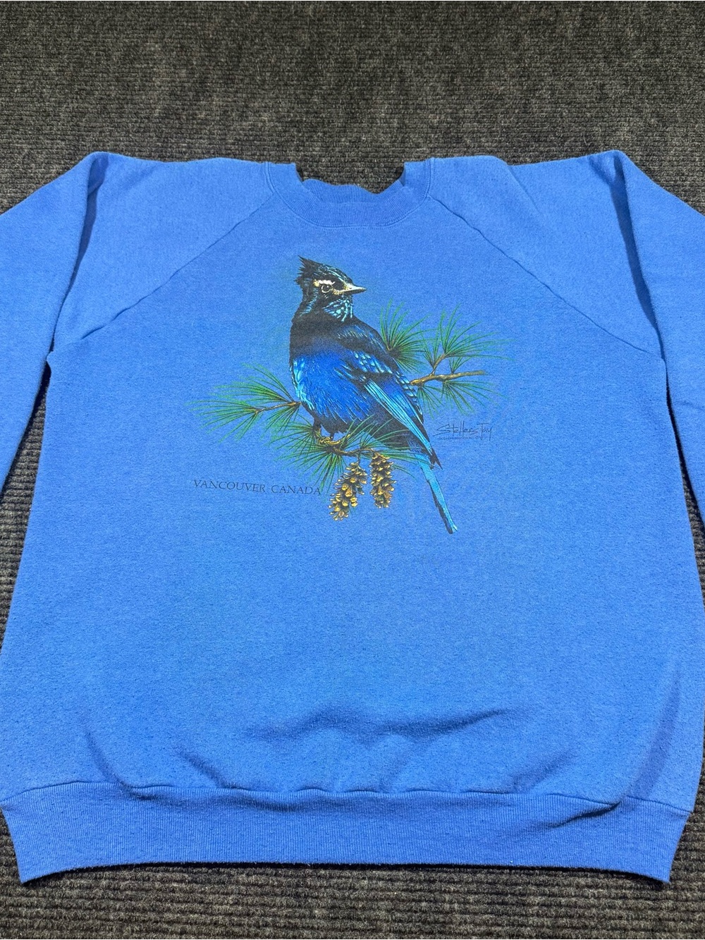Vintage 80s 90s of the Loom Blue Crewneck Sweater Vancouver Canada, Stellar Jay